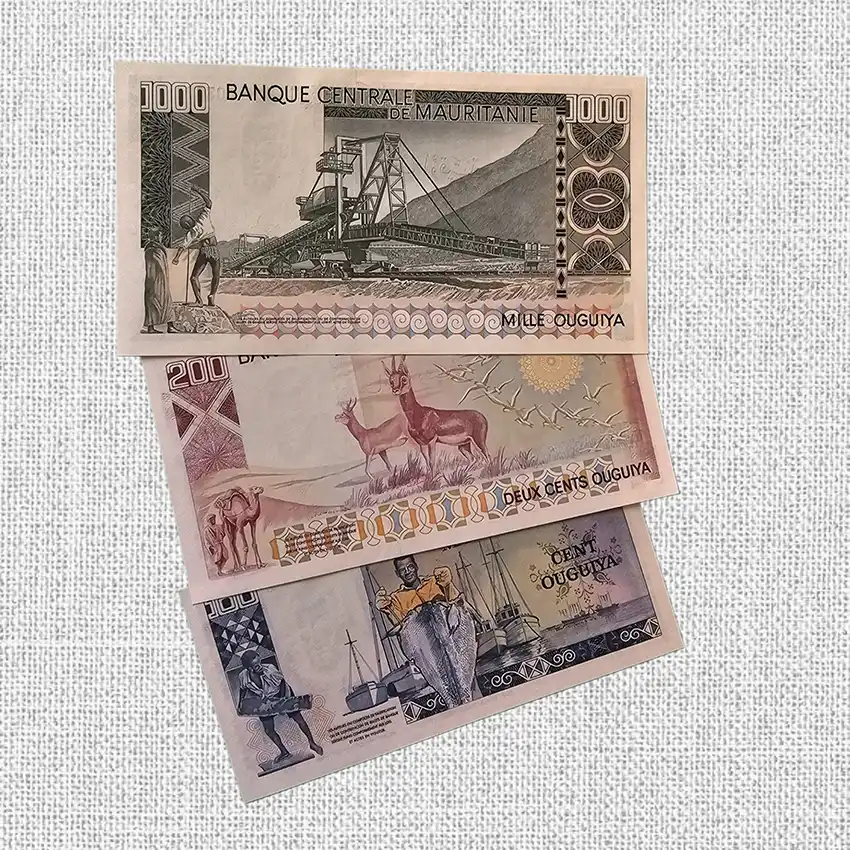 تصویر پشت ست اسکناس های موریتانی ۱۹۷۵ واحد پول اوگیا کیفیت بانکی - dgalleri